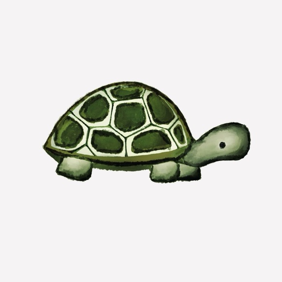 itsmeturtle